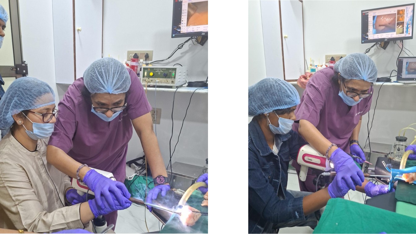 Colposcopy Training Courses